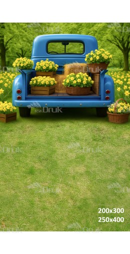 Tło fotograficzne „Niebieski pickup z żonkilami” | E_755